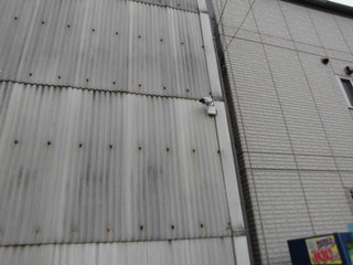 CIMG09170704.JPG