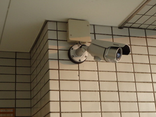 DSC028460518.JPG