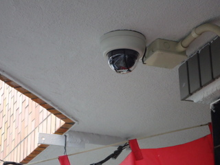 DSC028780616.JPG