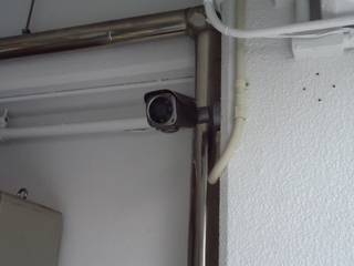 DSC028850616.JPG