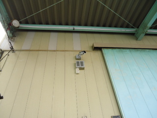DSC028890622.JPG