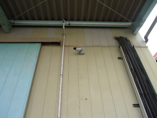 DSC028940622.JPG