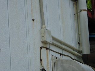 DSC029060623.JPG