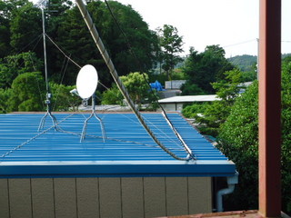 DSC029070623.JPG