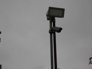 CIMG10780810.JPG