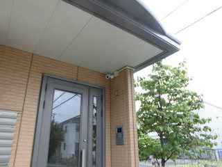 CIMG11010819.JPG