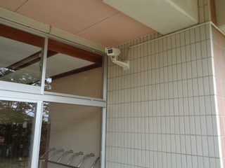 DSC011750803.JPG