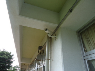 DSC028130802.JPG