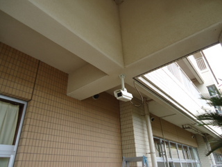 DSC028440803.JPG