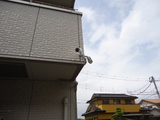 DSC028930819.JPG