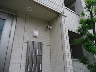 DSC028940819.JPG