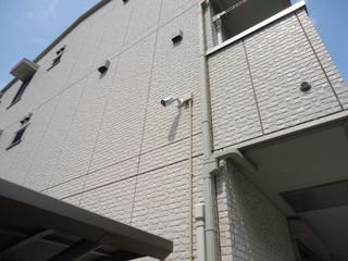 DSC028960819.JPG