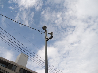 DSC028990822.JPG