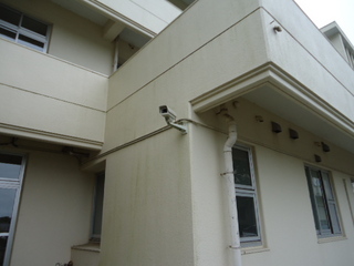 DSC030040803.JPG