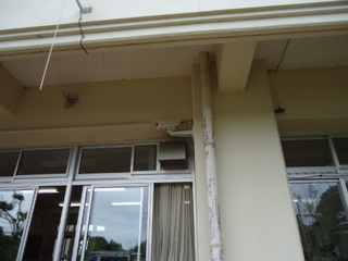DSC030060803.JPG
