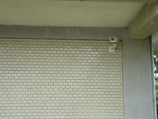 DSC030240804.JPG