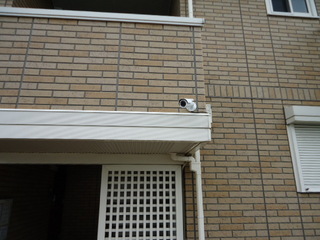 DSC030370819.JPG