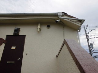 CIMG11420911.JPG