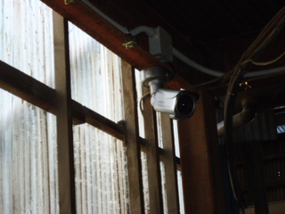 DSC029370902.JPG