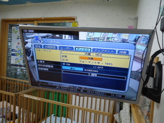 DSC029490908.JPG