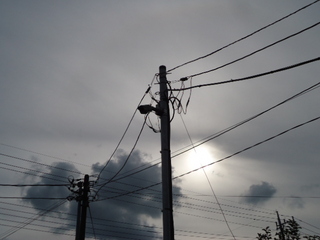DSC029550911.JPG