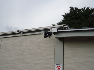 DSC029570911.JPG