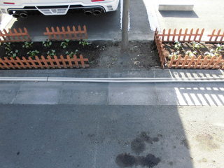 CIMG12031004.JPG