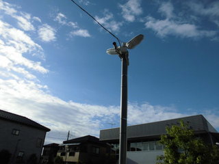 CIMG12041004.JPG