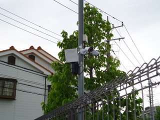 DSC002951004.JPG