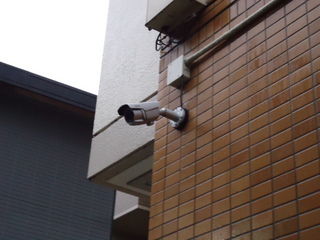 DSC013341016.JPG