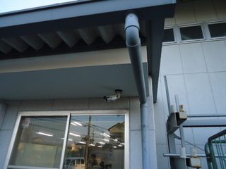 DSC030401010.JPG