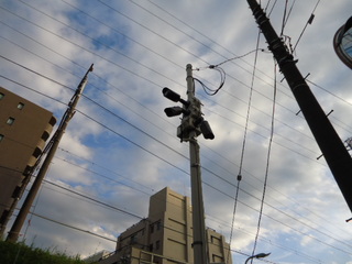 DSC031680921.JPG
