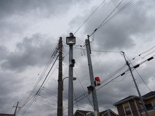 DSC032121002.JPG