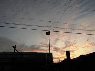 CIMG12851102.JPG
