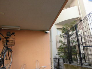 CIMG13081117.JPG