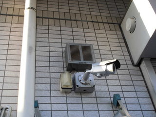 CIMG13361123.JPG
