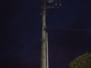 DSC031561120.JPG