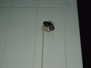 DSC031641120.JPG
