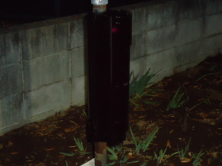 DSC031671120.JPG