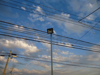 DSC033261102.JPG