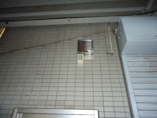DSC033311103.JPG