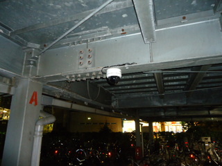 DSC033381107.JPG
