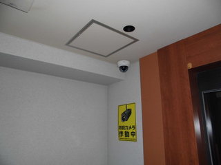 CIMG13531201.JPG