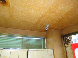 DSC033860115.JPG