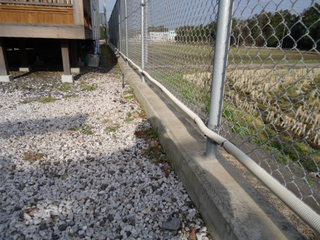 DSC016890324.JPG