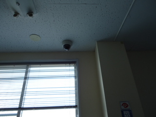 DSC035930331.JPG