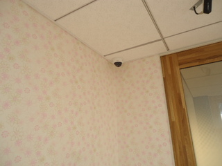 DSC019370609.JPG