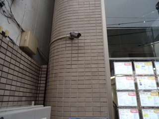 DSC062230606.JPG