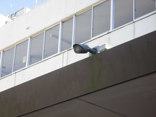 CIMG20800817.JPG