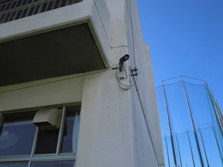 CIMG20950821.JPG